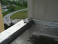 /album/oprava-strechy-i-vyskovskou-stavebni-ve-2009/a22-snimek-121-jpg/